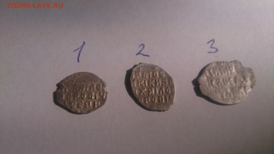 3 чешуйки на определение - DSC_1263.JPG