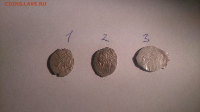 3 чешуйки на определение - DSC_1264.JPG