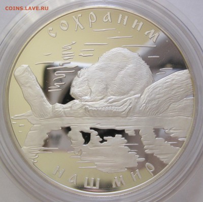 25 руб. 2008 Речной бобр - до 23.09 22-00 МСК - Б013_1