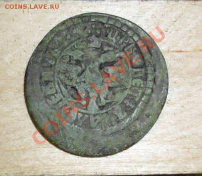 полушка 1703 года - SAM_0344.JPG