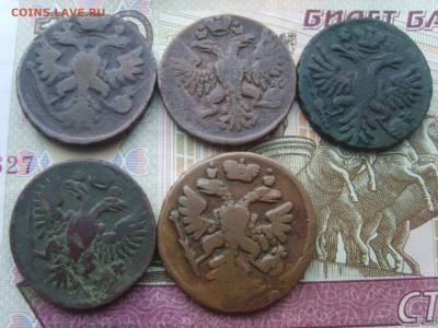 5 Денга.1731.1738.1741.1750.1750гг.до 22.09.16 до 22-00. - S8308441.JPG