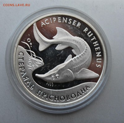 10 гривен 2012 год.Короткий - IMG_2981.JPG