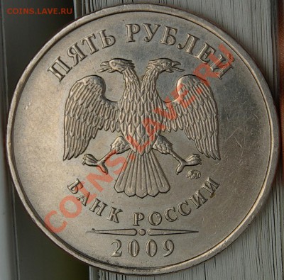 Верно ли я определил ? 2009г - SG104330.JPG