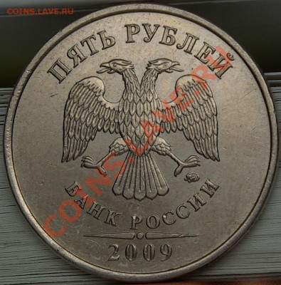 Верно ли я определил ? 2009г - SG104333.JPG