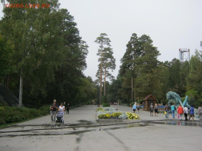 ФОТО - просто фото. Те что получились удачными. - IMG_3078[1].JPG