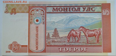 МОНГОЛИЯ - 5 тугриков 2008 г. пресс до 27.09 в 22.00 - DSCN7982