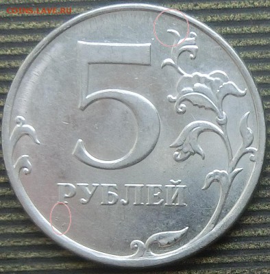 Вопросы по разновидам от Абдулла - CIMG49141.JPG