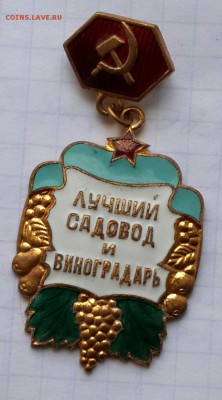 Лучший садовод и виноградарь. До 27.09.2016 в 22.00 - 20160921_162736-1