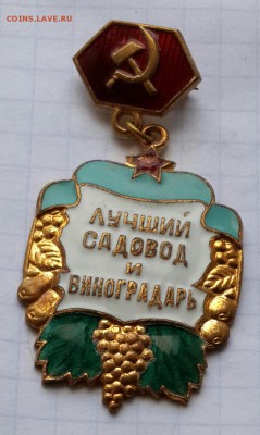 Лучший садовод и виноградарь. До 27.09.2016 в 22.00 - 20160921_162741-1