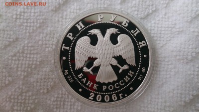 3 Рубля 2006 Год собаки (Ag 925) до 26.09. 22.00 МСК - DSC_3785.JPG