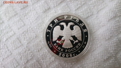 3 Рубля 2006 Год собаки (Ag 925) до 26.09. 22.00 МСК - DSC_3782.JPG