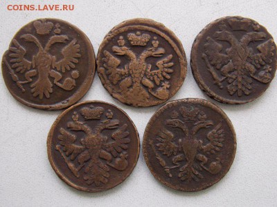 Денга 1734-1741 гг (5шт )До 26.09.2016. в 22- 00 по мск - DSCN0026.JPG