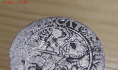 Оценка полугроша 1561 г. ВКЛ Жигимонта Авг Вильно №4SA110-29 - DVCЛT