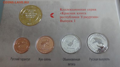 Красная книга Удмуртии в альбоме до 30.09.2016 22.00 мск - DSC04205.JPG
