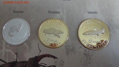 Красная книга Удмуртии в альбоме до 30.09.2016 22.00 мск - DSC04206.JPG