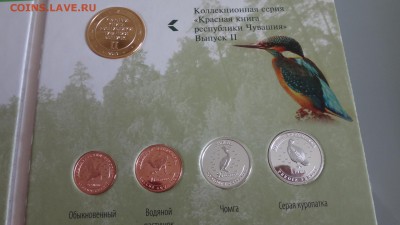 Красная книга Чувашии в альбоме до 30.09.2016 22.00 мск - DSC04201.JPG