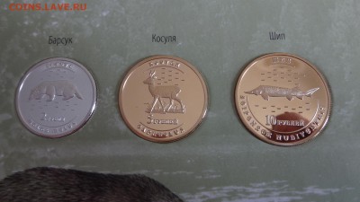 Красная книга Чувашии в альбоме до 30.09.2016 22.00 мск - DSC04200.JPG
