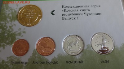 Красная книга Чувашии в альбоме до 30.09.2016 22.00 мск - DSC04199.JPG