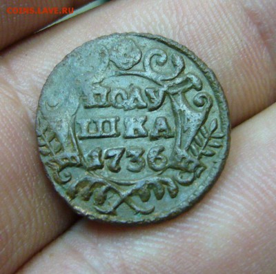 Полушка 1736 кладовая приличная - 27-09-16 - 23-10 мск - 5