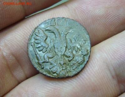 Полушка 1736 кладовая приличная - 27-09-16 - 23-10 мск - 55