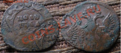 Полушка 17??, "у" с петлёй, редкая, двойной удар, "матрёшка" - DSC01237.JPG