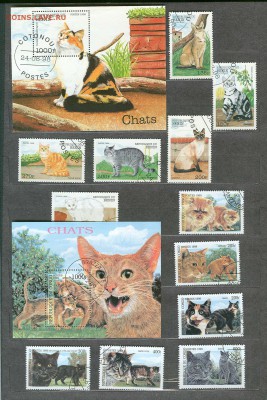Кошачьи 4 серии разных стран - кошачьи 1