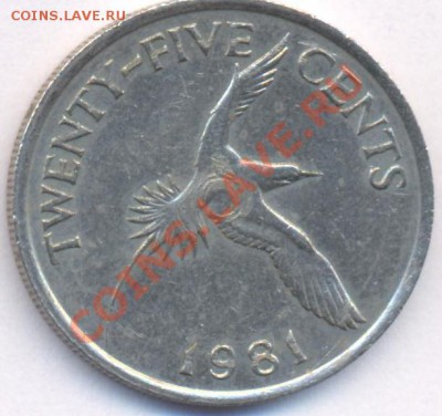 Бермуды 25 центов.1981 г.До 14.12.10 г. 20-00 МСК. - Бермуды 25 81.1