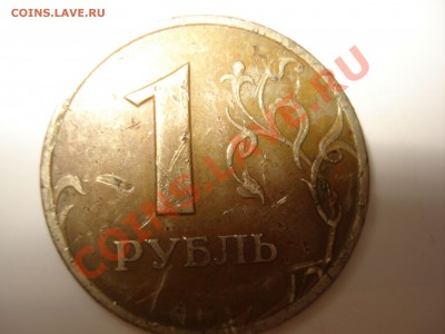 помогите определить - DSC03576.JPG