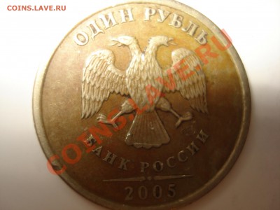 помогите определить - DSC03579.JPG