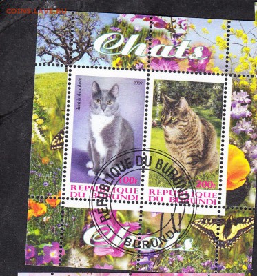 Бурунди 2009 кошки - 1