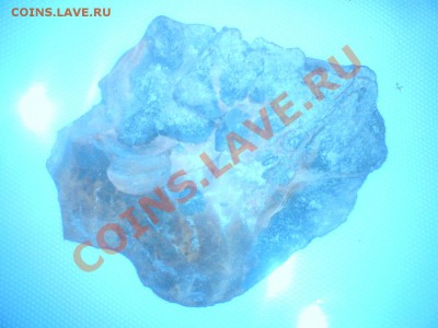 Оцените орудия украшение из железа и камня - DSC01354.JPG