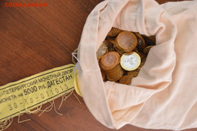 25 штук Дагестана из мешка! До 1.10.2016г. - _DSC0005.JPG