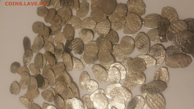 180 монет чешуи. Доборка клада - 1474824443368-2015481365