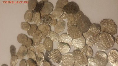180 монет чешуи. Доборка клада - 1474824467452-365017109