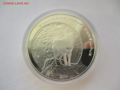 Монеты с изображением волка - IMG_4742.JPG