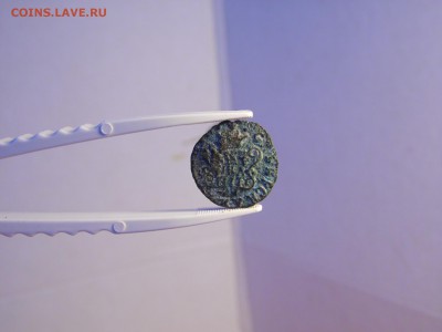 2 сибирские полушки. до 29.09.16  22:00 - SAM_1450.JPG