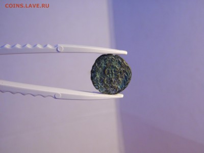 2 сибирские полушки. до 29.09.16  22:00 - SAM_1451.JPG