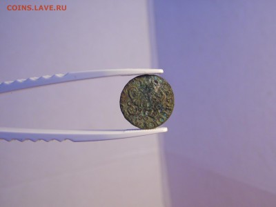 2 сибирские полушки. до 29.09.16  22:00 - SAM_1452.JPG