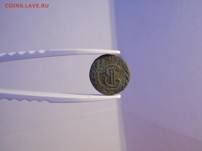 2 сибирские полушки. до 29.09.16  22:00 - SAM_1453.JPG