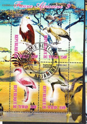 Чад 2012 птицы - 13