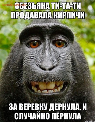 делает - прямо сейчас !!! - image