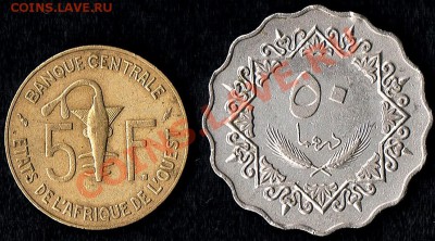 чТО ЗА  МОНЕТЫ? - Две монеты - 2