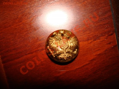 Пуговки - DSC07216_hf.JPG