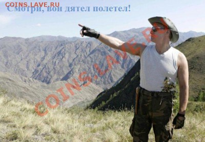 chugun80 & tirex777??? - putin_hunter