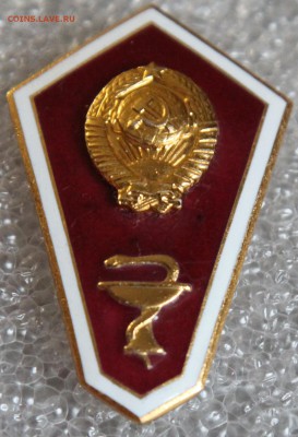 Гробик медицинский ВУЗ до 04.10 - IMG_0382.JPG