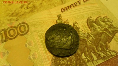 сибирка - 2016-08-30 03-00-08.JPG