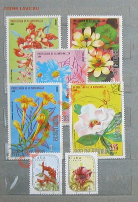 Флора - Безымянный3е