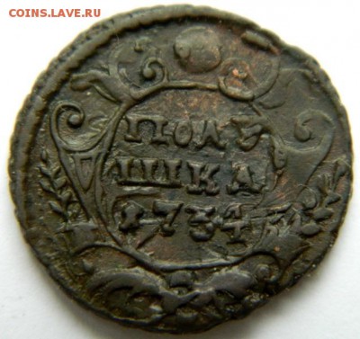 Полушка 1734г,окончание 1.10.2016г,22-00 по Москве - DSCN5310