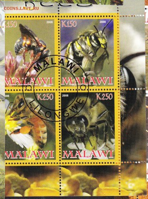 Малави 2008 пчелы - 27