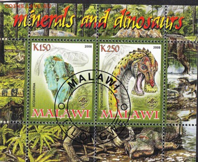 Малави 2008 доисторическая фауна (3) - 34